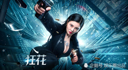 欧洲工商管理学院物理学文凭证书